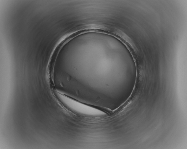 X0000111031024200907021534