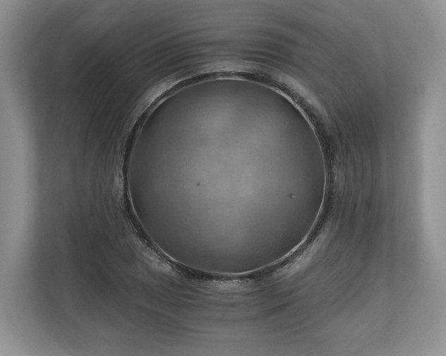 X0000111031025200907021534