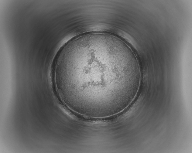 X0000111031026200907021534
