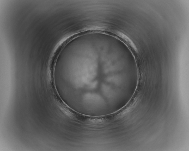 X0000111031027200907021534