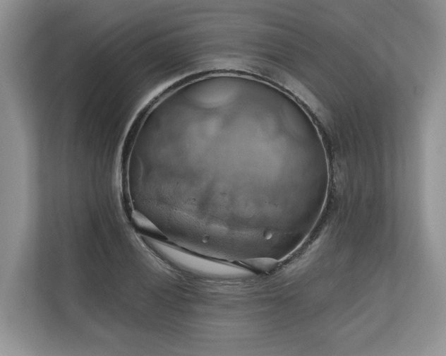 X0000111031028200907021534