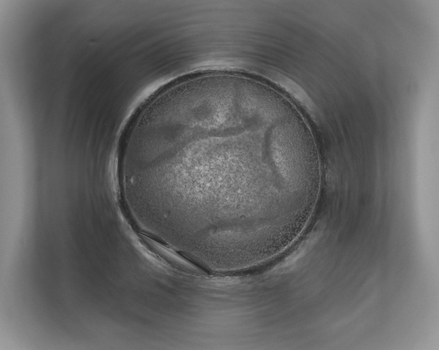 X0000111031030200907021534