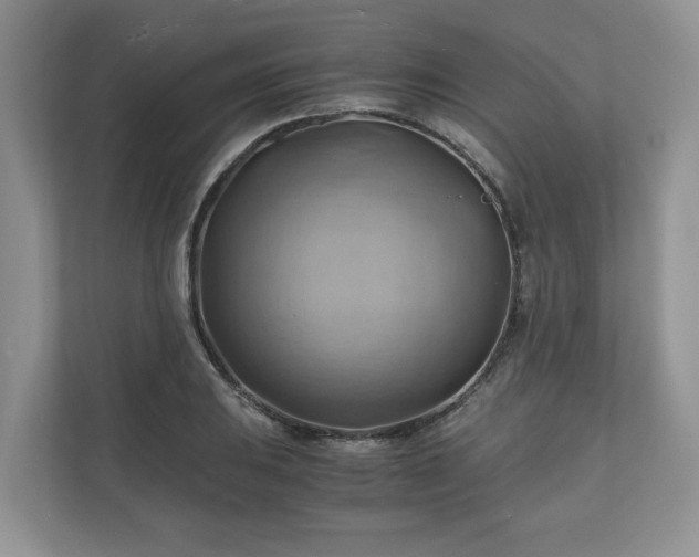 X0000111031031200907021534