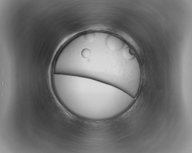 X0000111031032200907021534