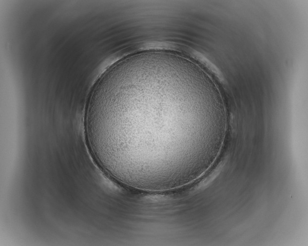 X0000111031033200907021534