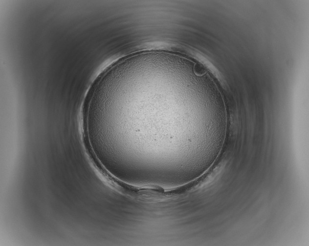 X0000111031034200907021534