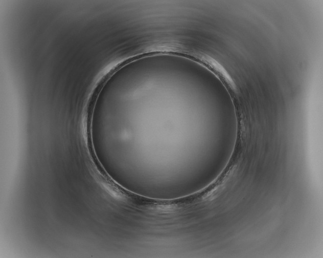 X0000111031035200907021534