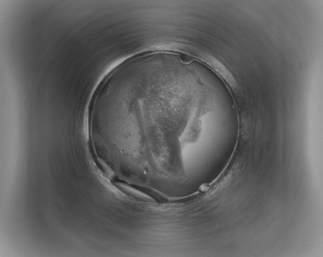 X0000111031036200907021534