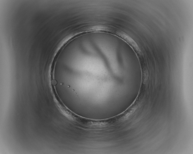 X0000111031039200907021534
