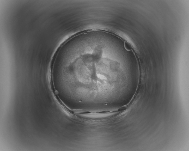 X0000111031040200907021534