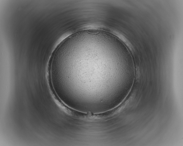 X0000111031042200907021534