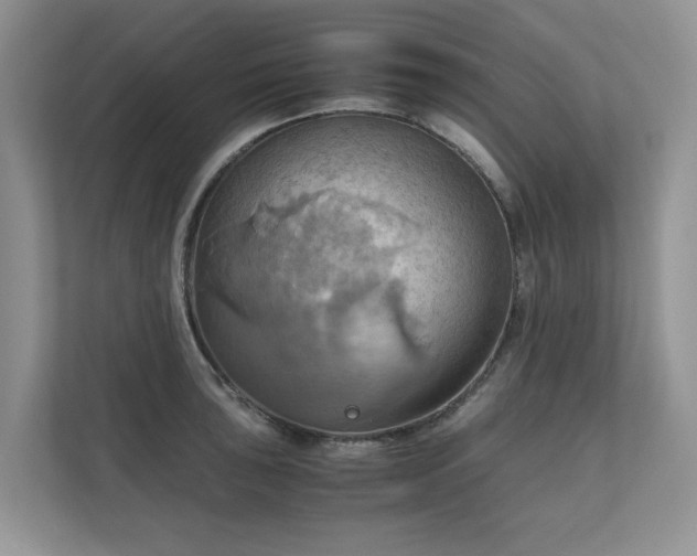 X0000111031043200907021534