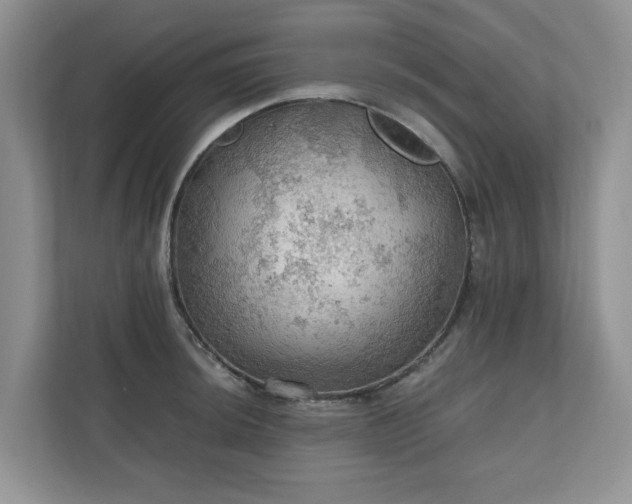 X0000111031044200907021534