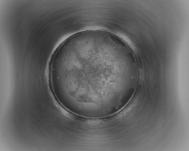 X0000111031046200907021534