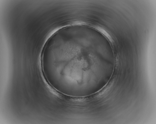 X0000111031047200907021534