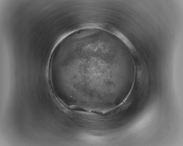 X0000111031052200907021534