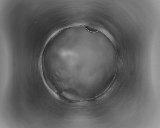 X0000111031055200907021534