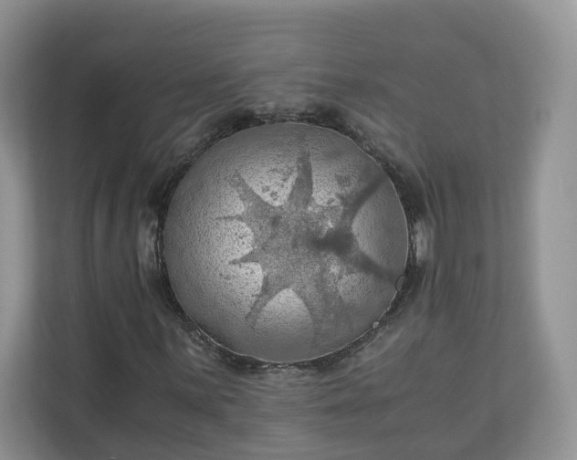 X0000111031059200907021534