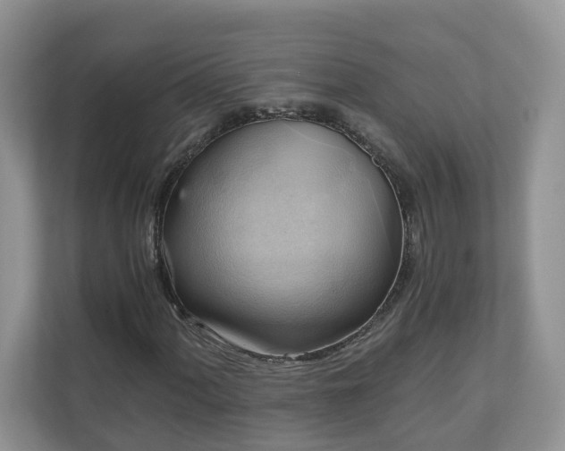 X0000111031060200907021534