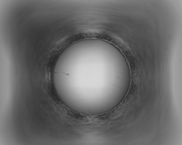 X0000111031061200907021534