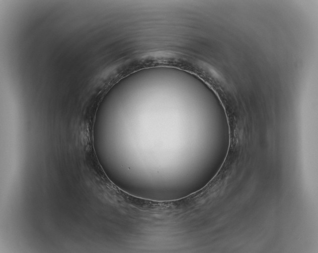X0000111031062200907021534