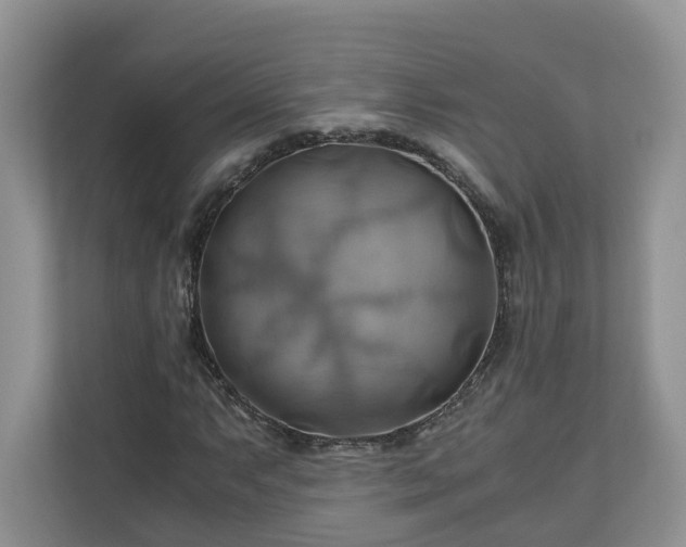 X0000111031063200907021534