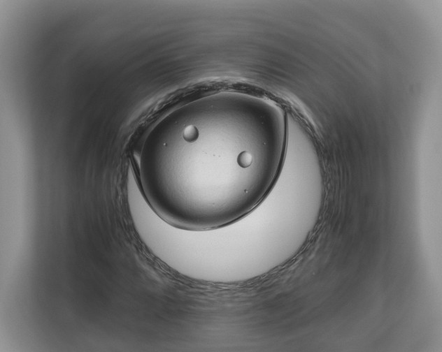 X0000111031064200907021533