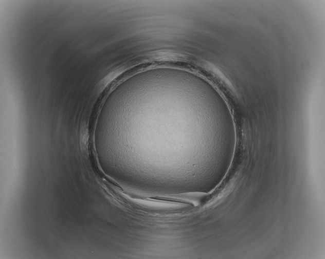 X0000111031065200907021533