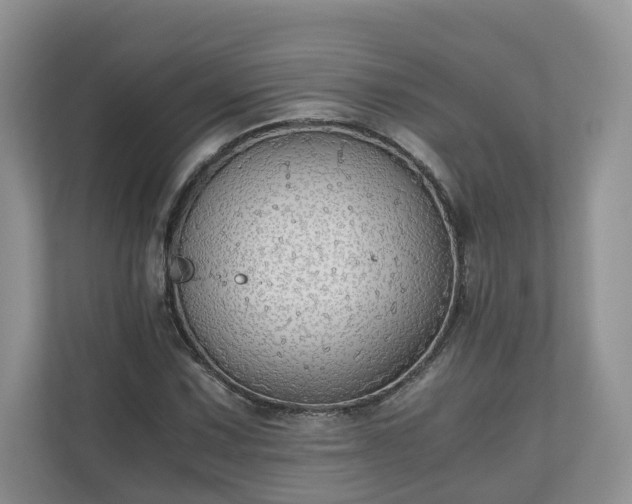 X0000111031067200907021533