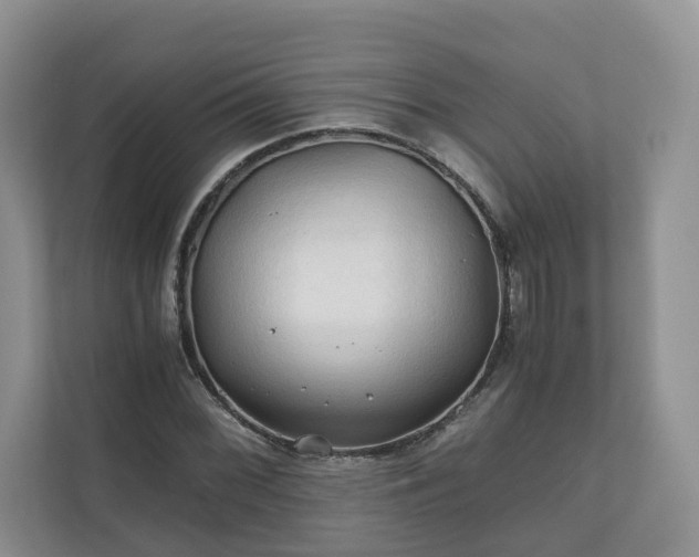 X0000111031068200907021533