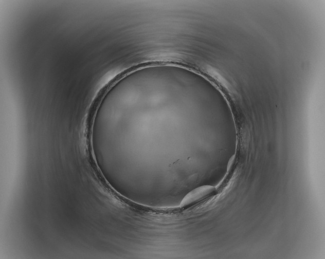 X0000111031071200907021533