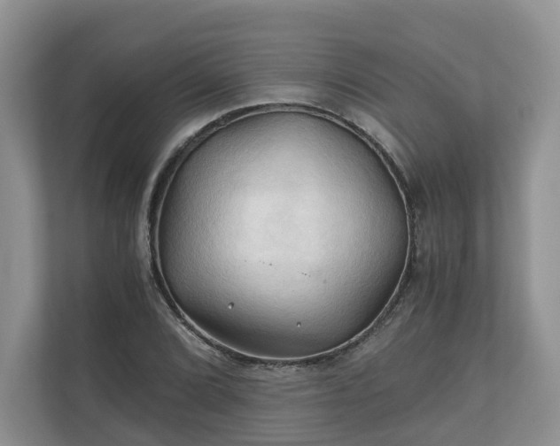 X0000111031072200907021533