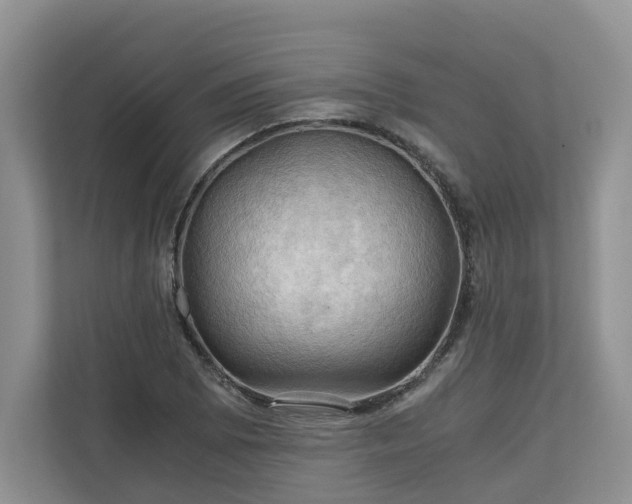 X0000111031073200907021533