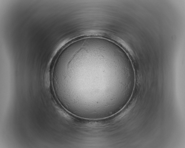 X0000111031075200907021533