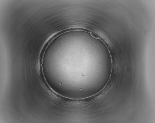 X0000111031076200907021533