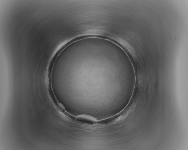X0000111031077200907021533