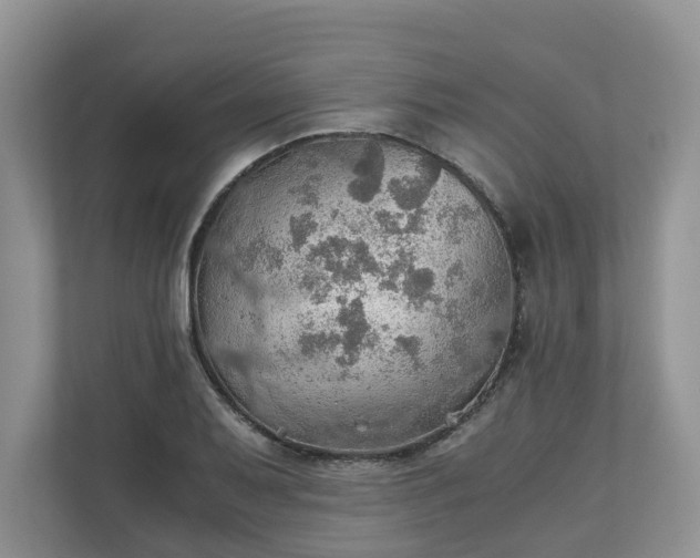 X0000111031079200907021533