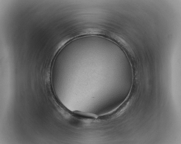 X0000111031081200907021533