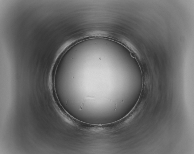 X0000111031082200907021533