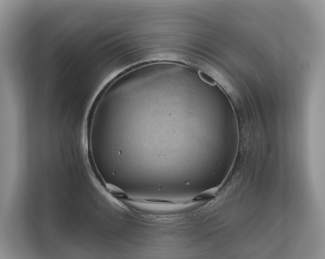 X0000111031084200907021533