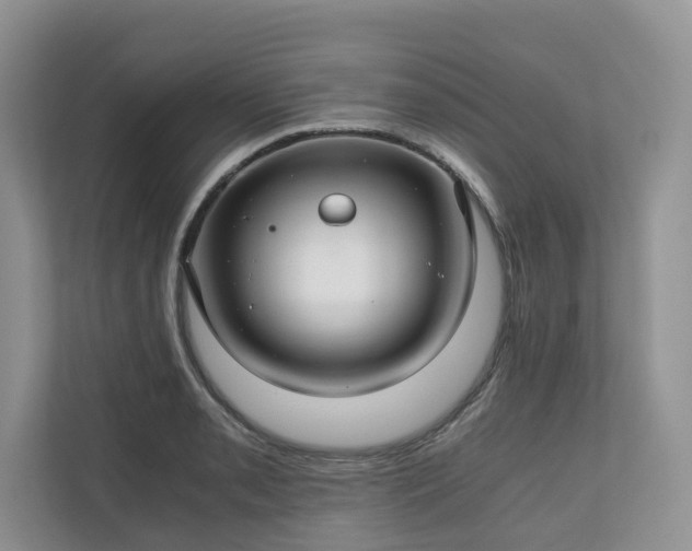 X0000111031085200907021533