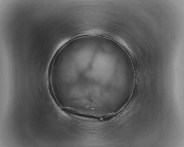 X0000111031087200907021533