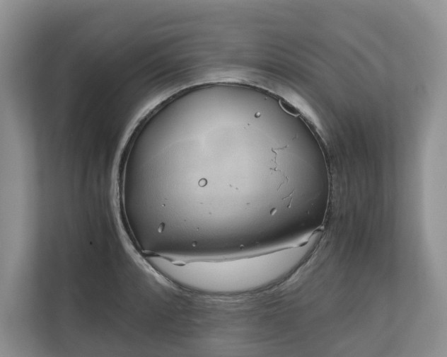 X0000111031088200907021533