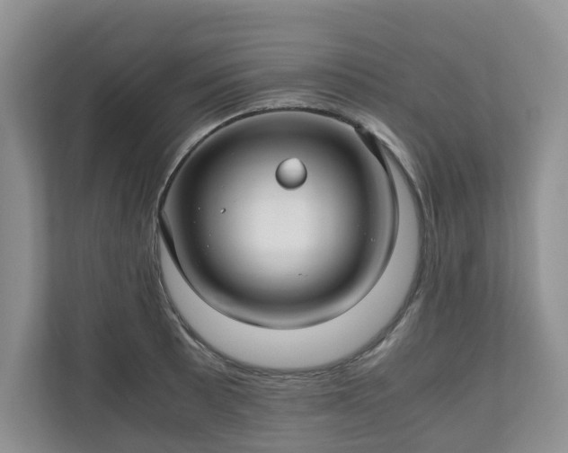 X0000111031089200907021533