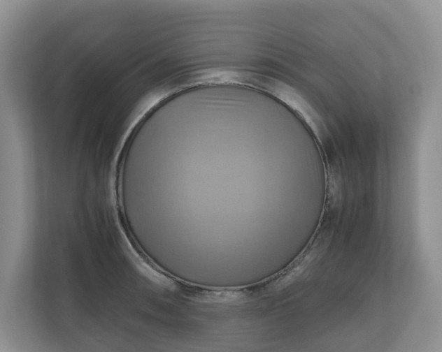 X0000111031090200907021533