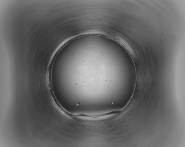 X0000111031092200907021533