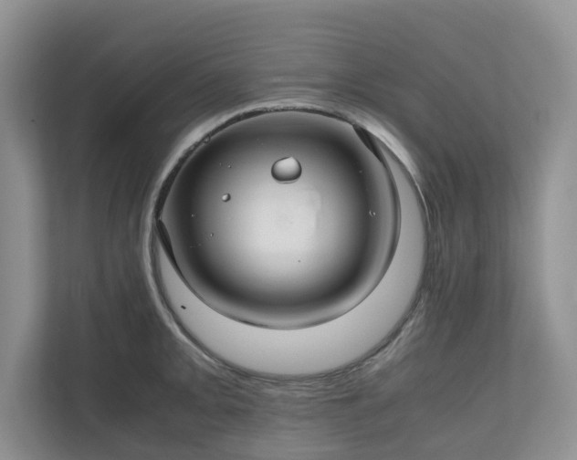 X0000111031093200907021533