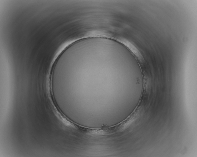 X0000111031094200907021533