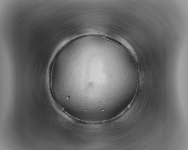 X0000111031096200907021533