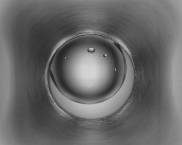 X0000111031098200907021533